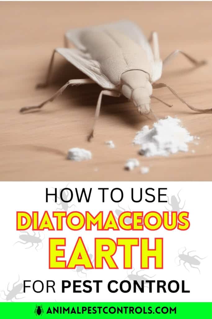 How To Get Rid of Diatomaceous Earth