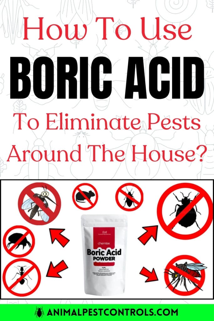 boric acid to kill pests