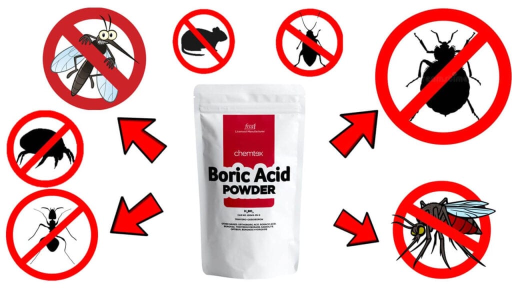 boric acid for pests