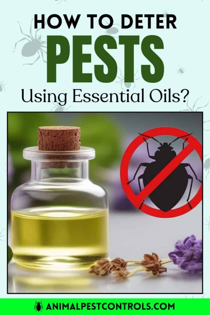 get rid of pests with essential oils