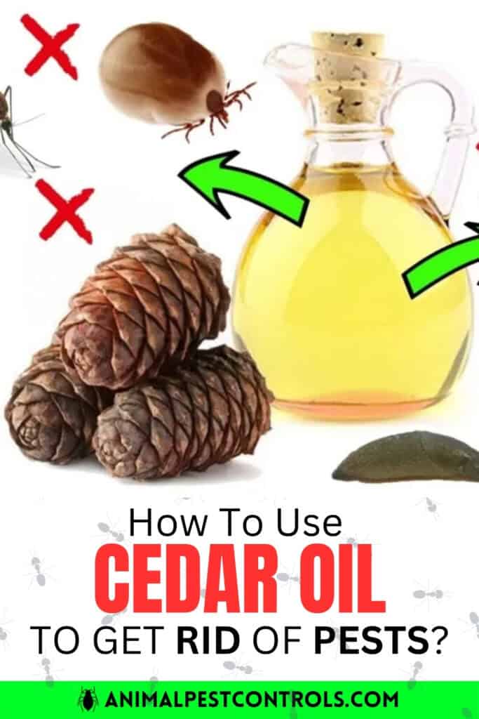 how to get rid of pests with cedar oil