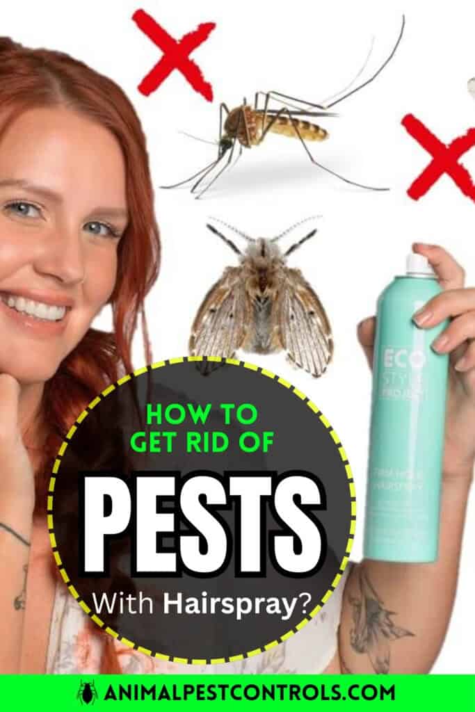 how to get rid of pests with hairspray