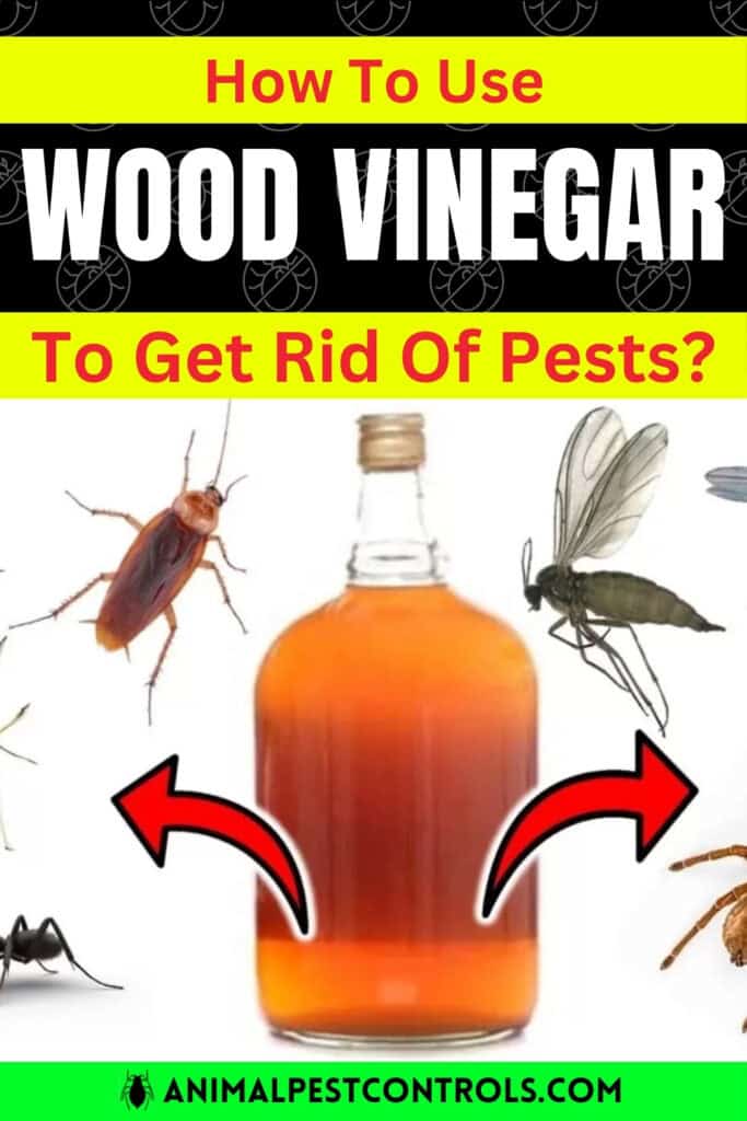 how to get rid of pests with wood vinegar