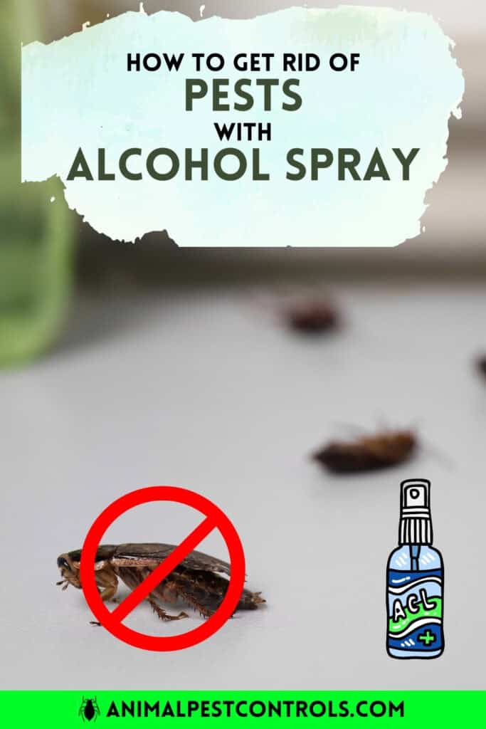 how to get rid of pest with alcohol spray