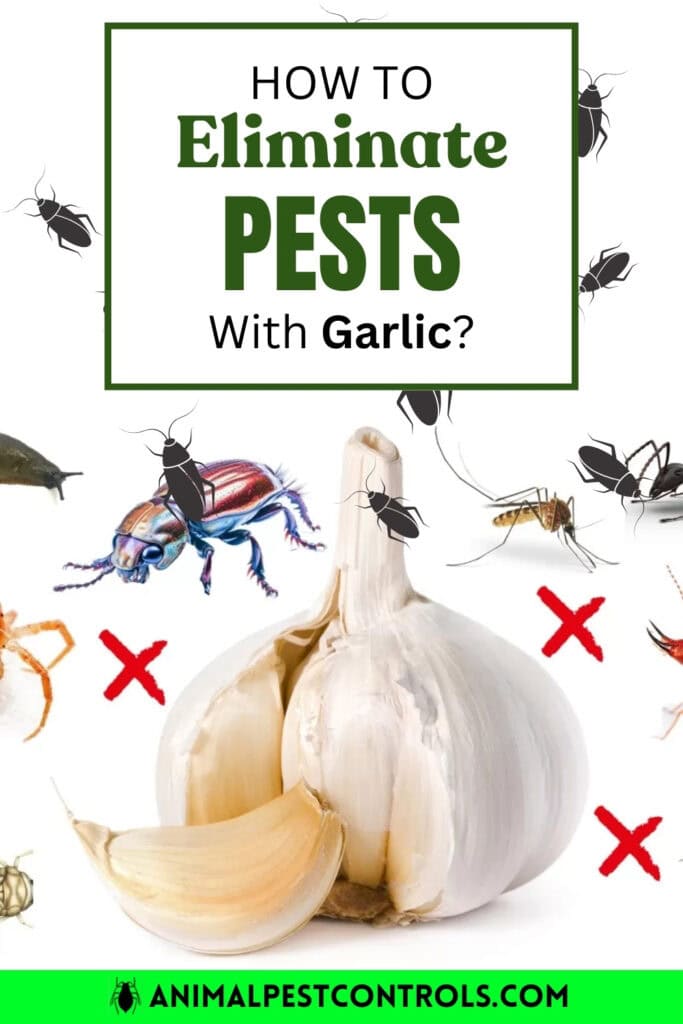 how to get rid of pests with garlic