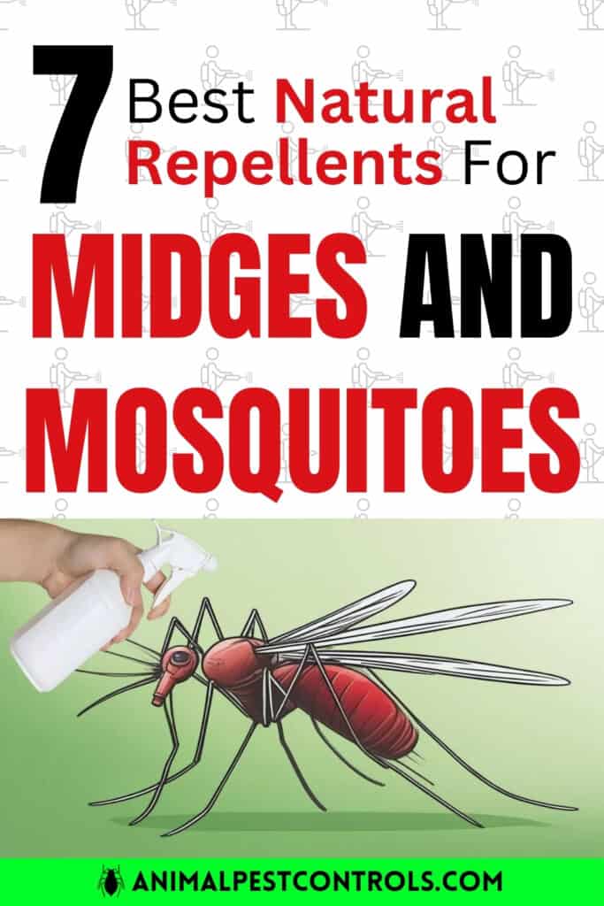 midges mosquitoes