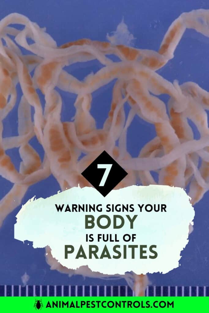 7 WARNING SIGNS YOUR BODY IS FULL OF PARASITES