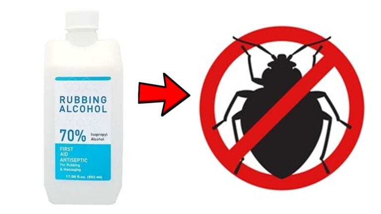 rubbing alcohol for pests