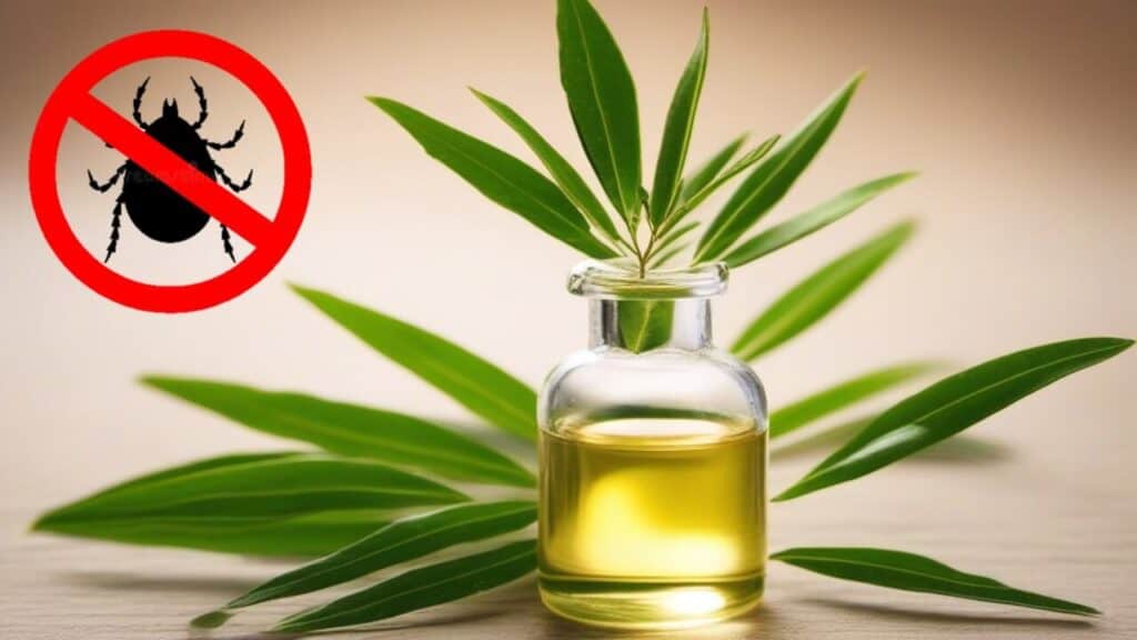 tea tree oil for pests
