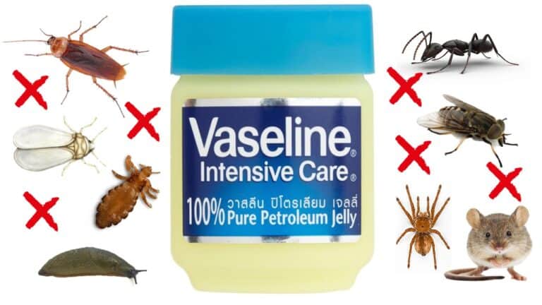 vaseline