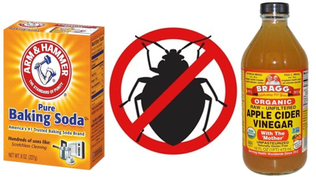 7 Effective Ways to Kill Pests with Baking Soda and Vinegar