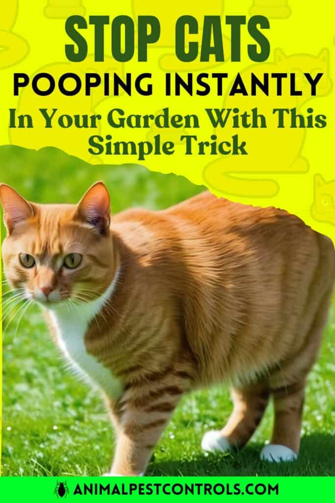 stop cats pooping in your garden